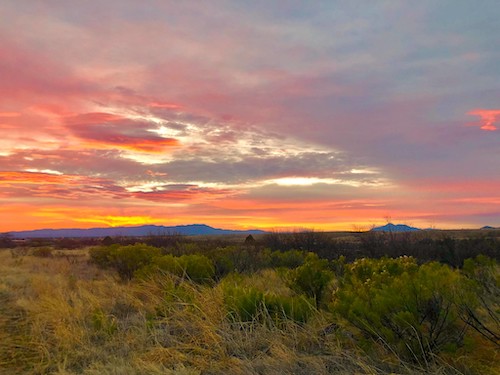 From https://www.flickr.com/photos/us_army_fort_huachuca/47179699052/